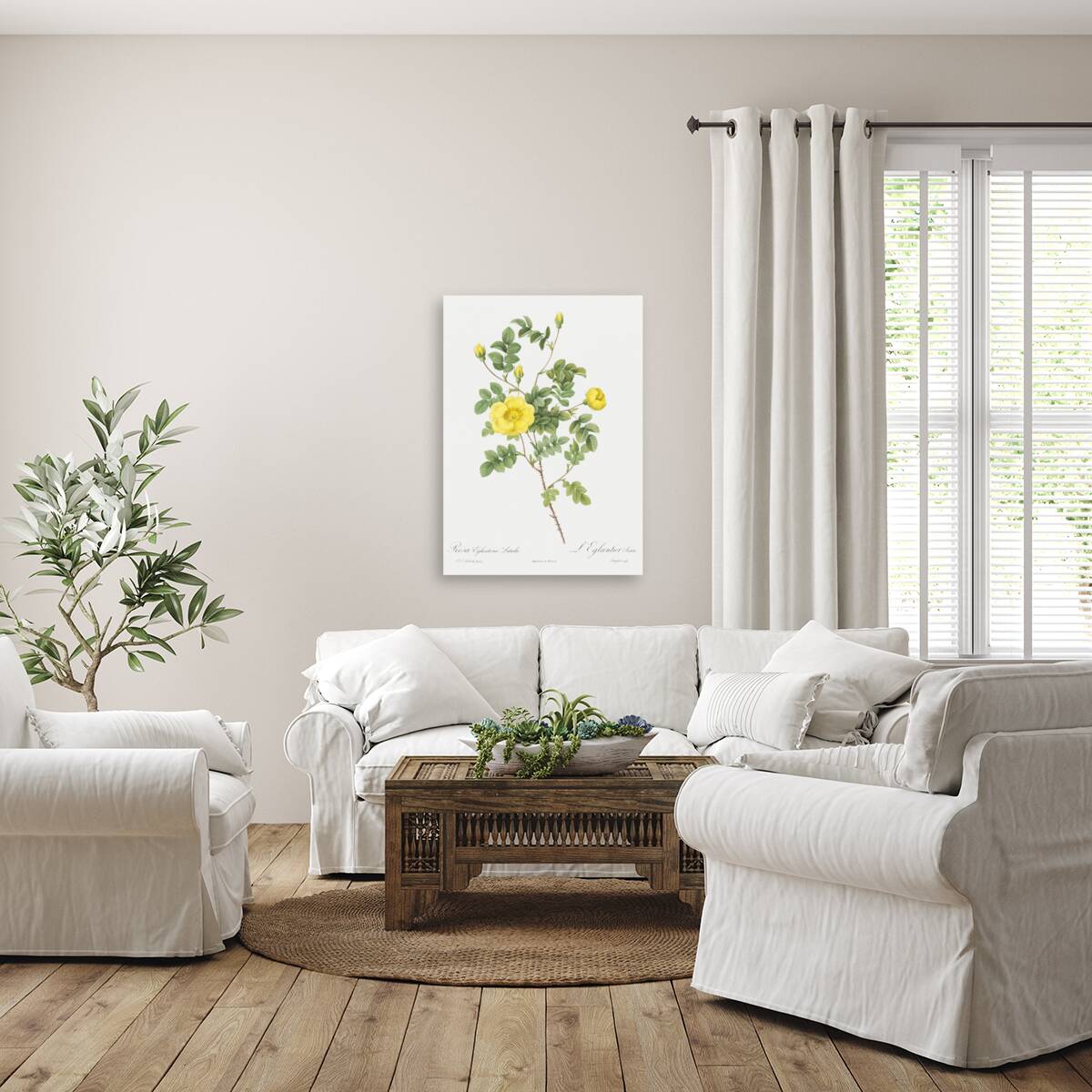 Yellow sweetbriar rose Reproduction