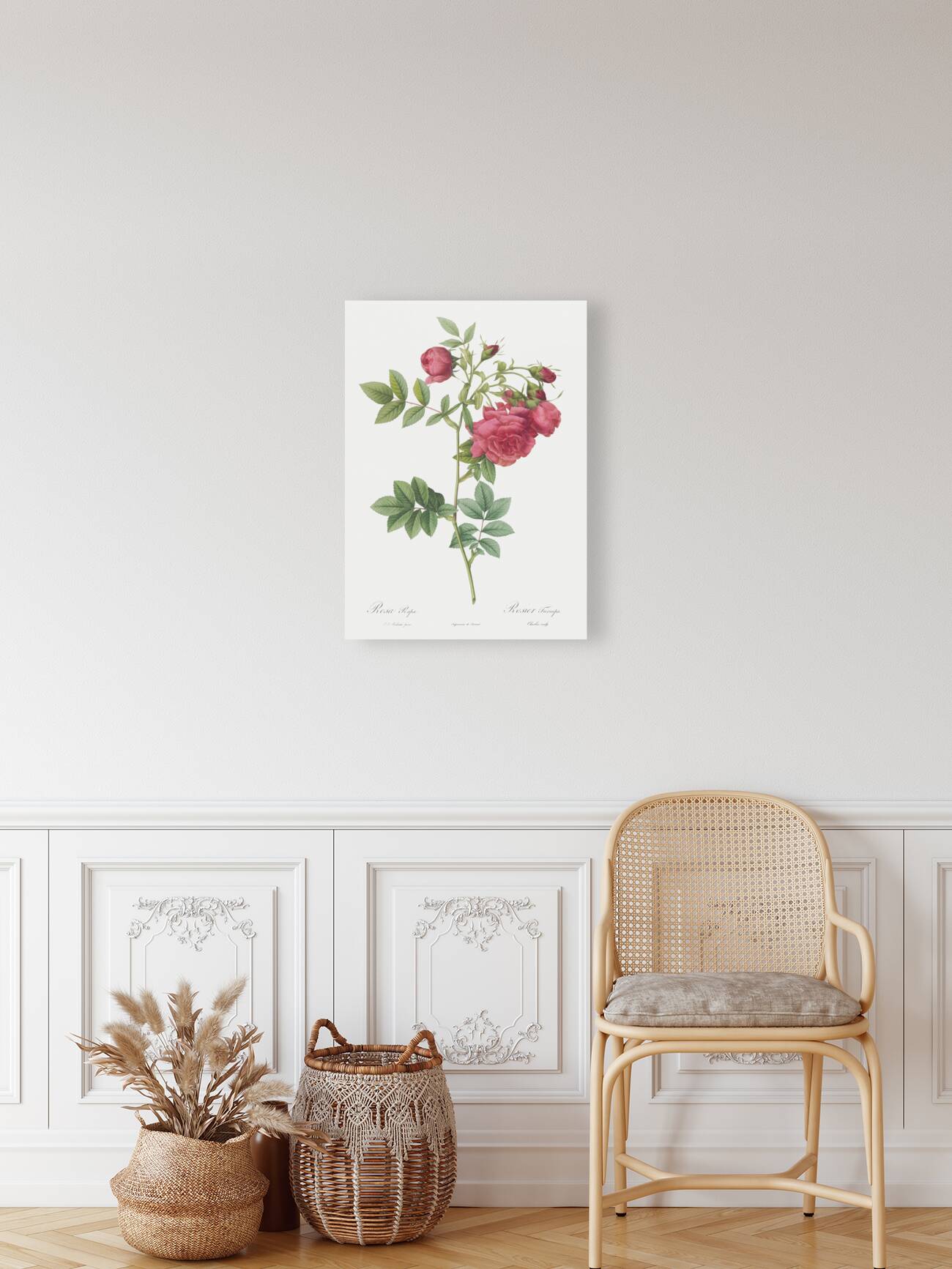 Yellow sweetbriar rose Reproduction