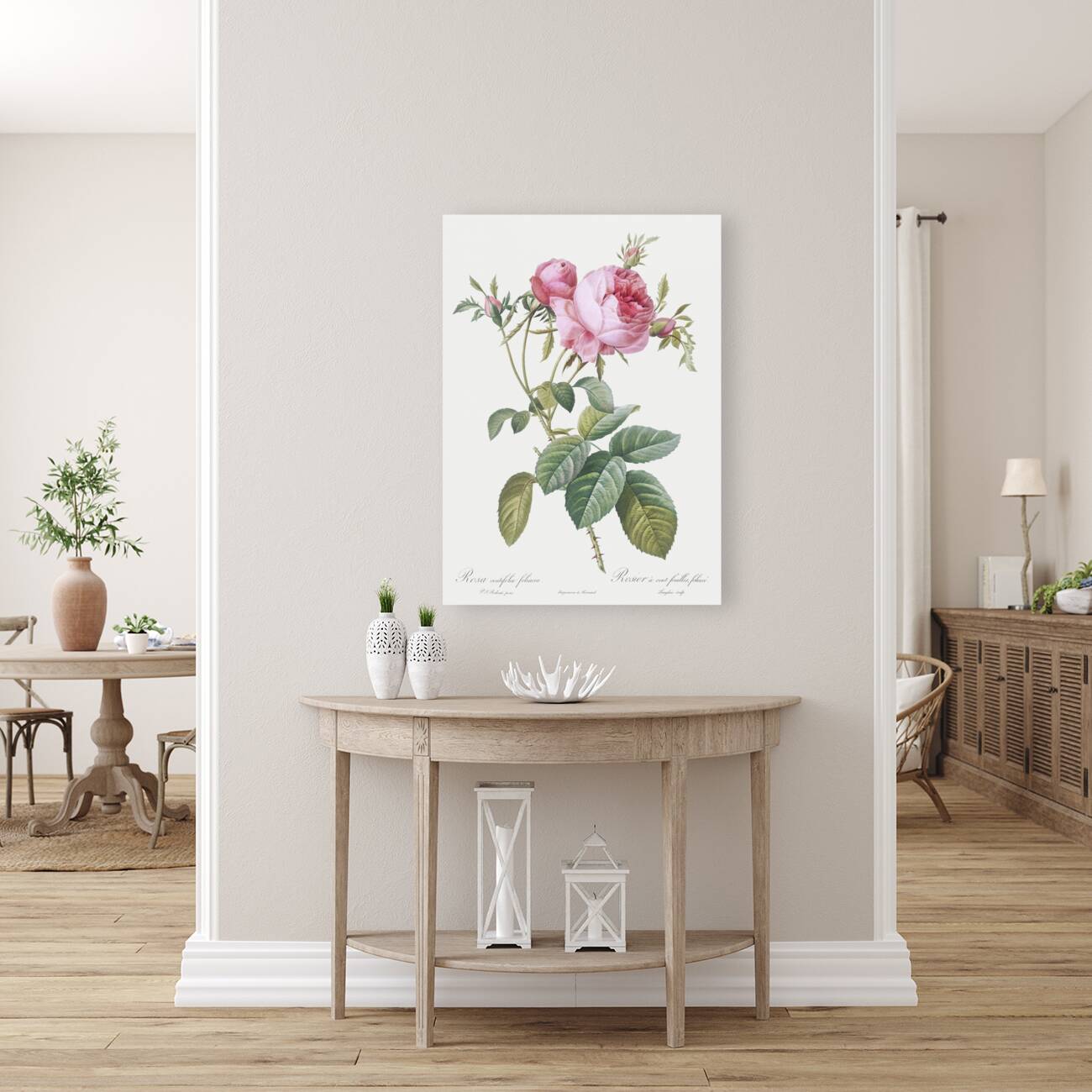 Pink cabbage rose Reproduction