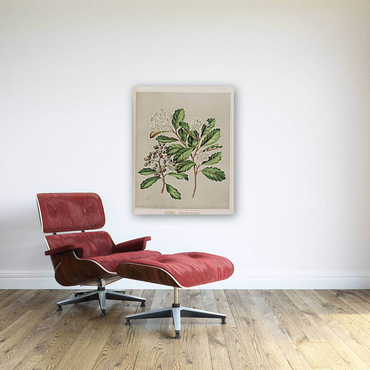 Sarah Featon 019 Reproduction