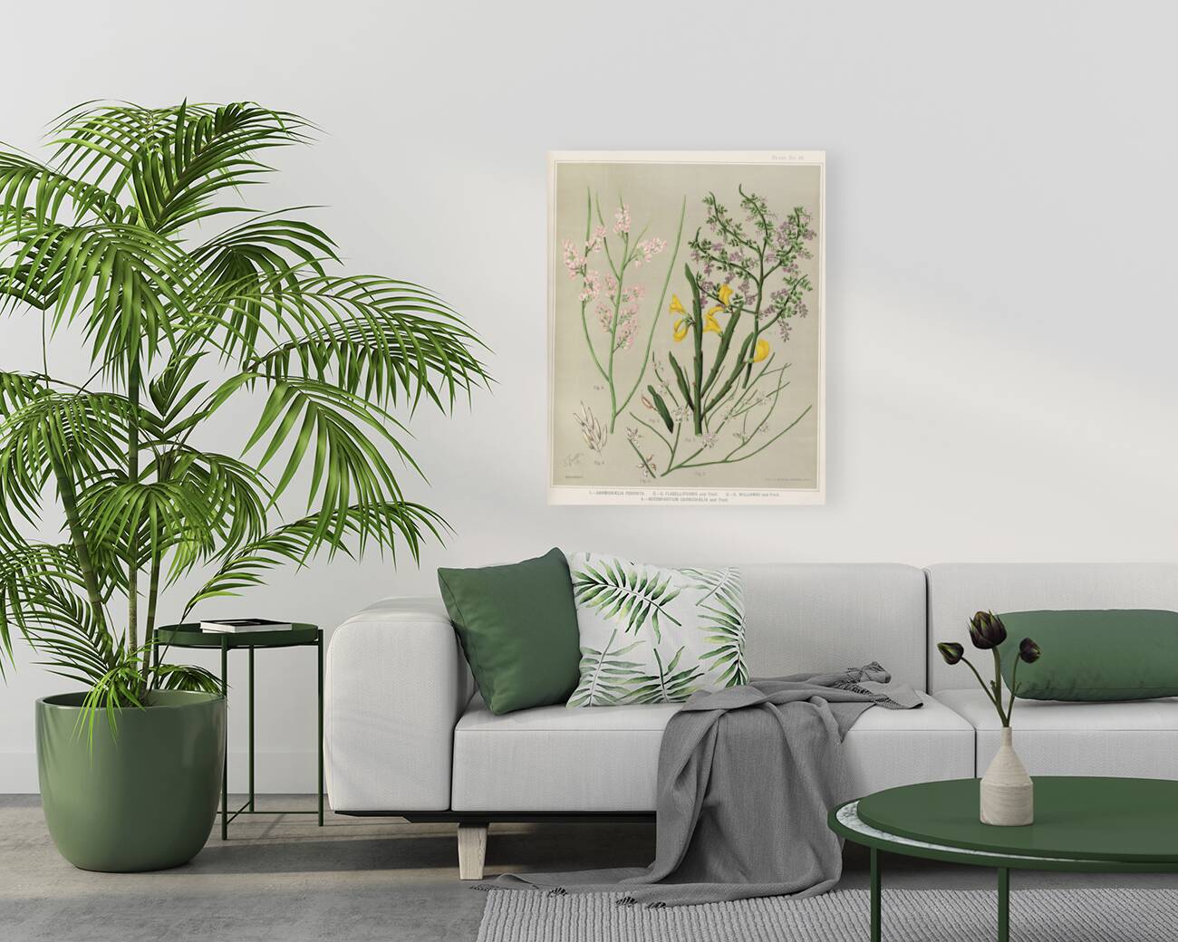 Sarah Featon 002 Reproduction