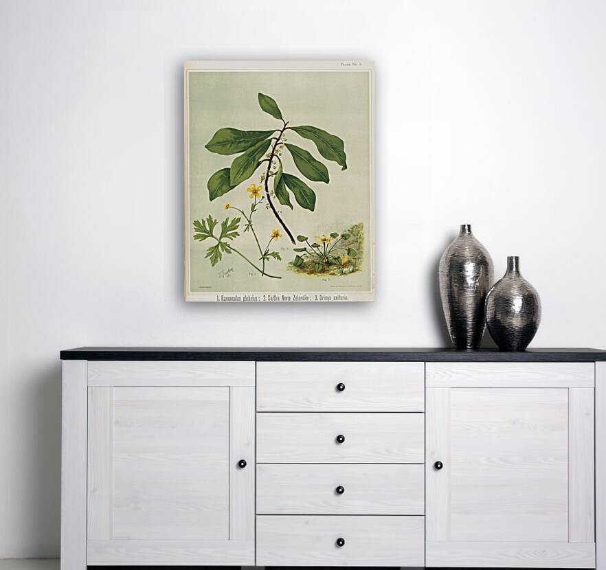 Sarah Featon 013 Reproduction