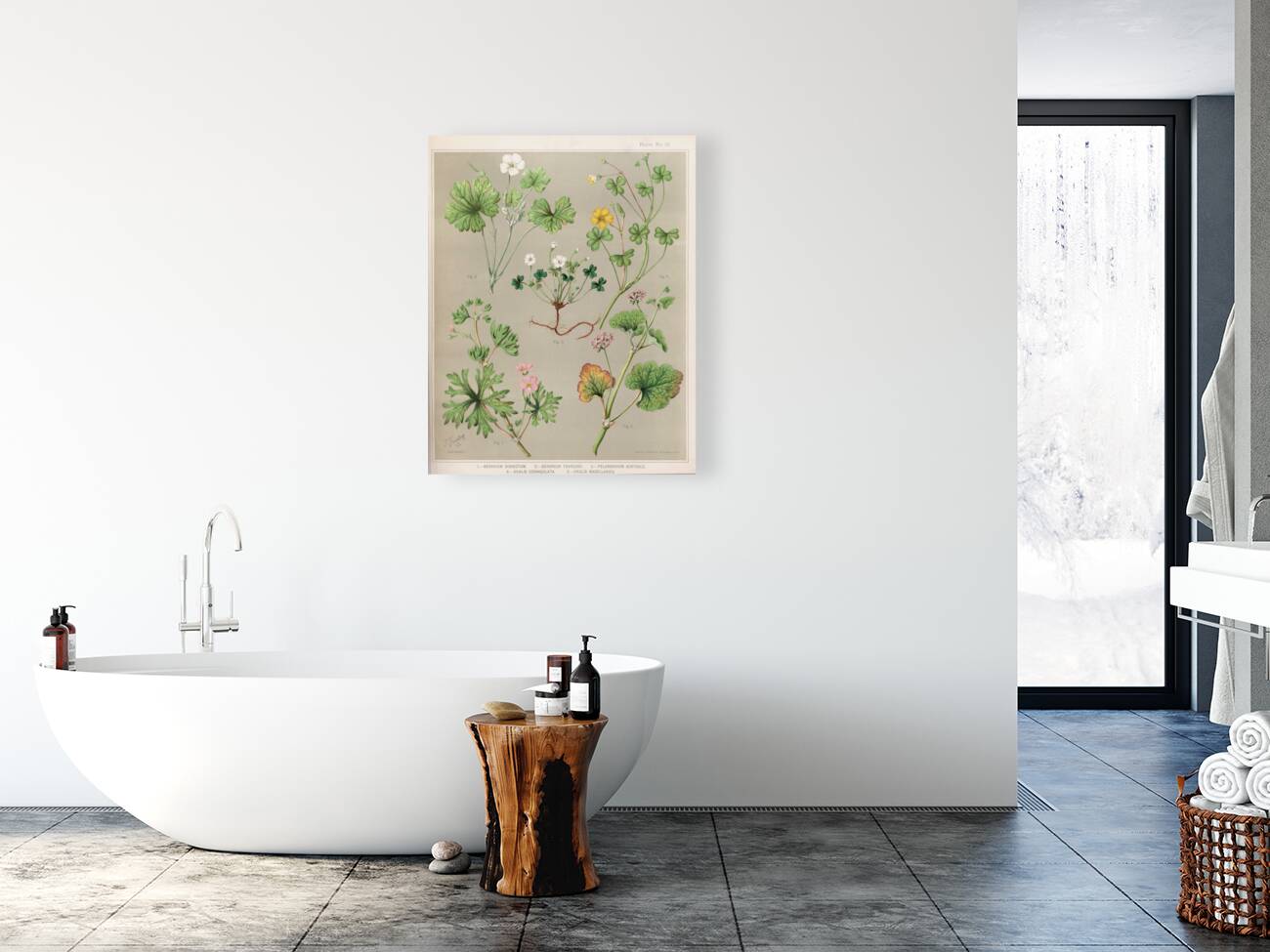 Sarah Featon 004 Reproduction