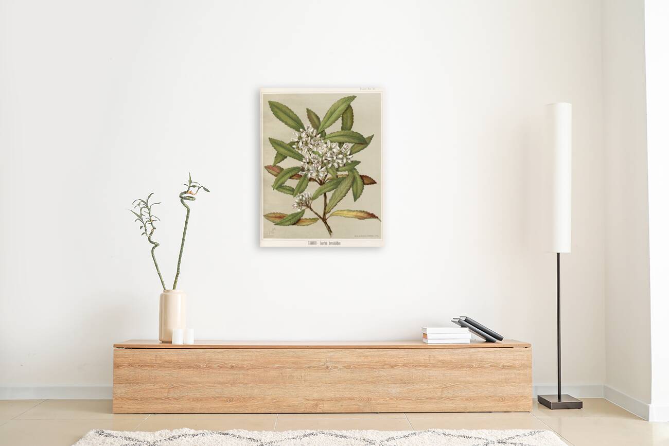 Sarah Featon 031 Reproduction