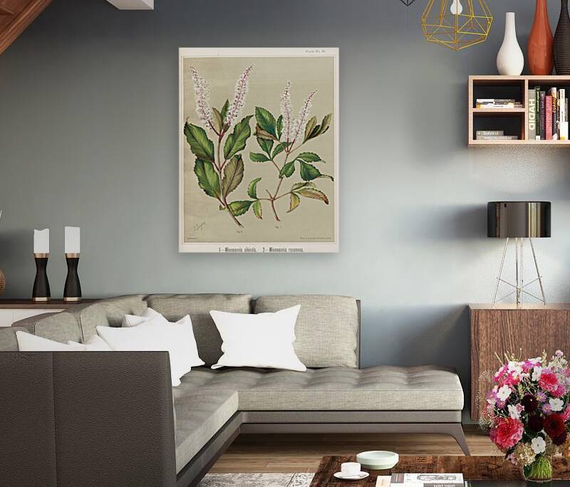 Sarah Featon 008 Reproduction