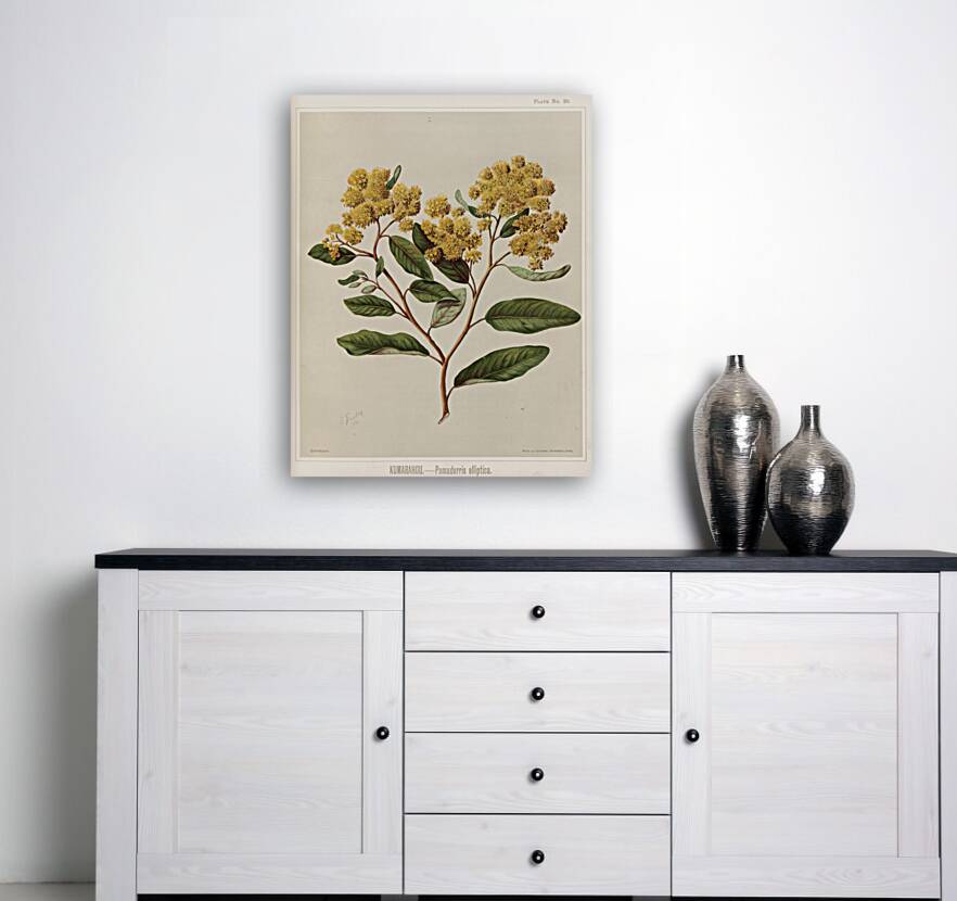 Sarah Featon 023 Reproduction