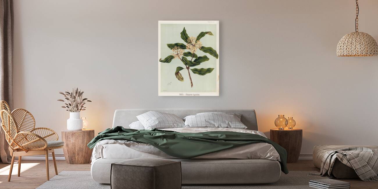 Sarah Featon 030 Reproduction