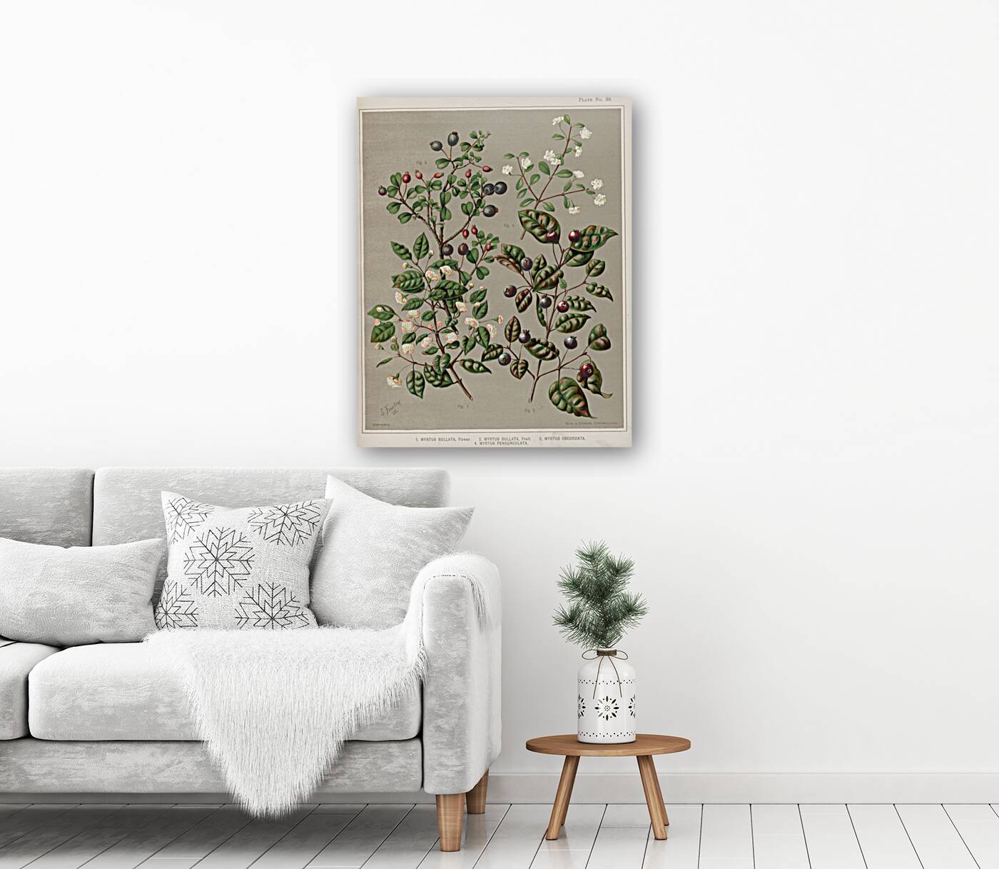 Sarah Featon 011 Reproduction