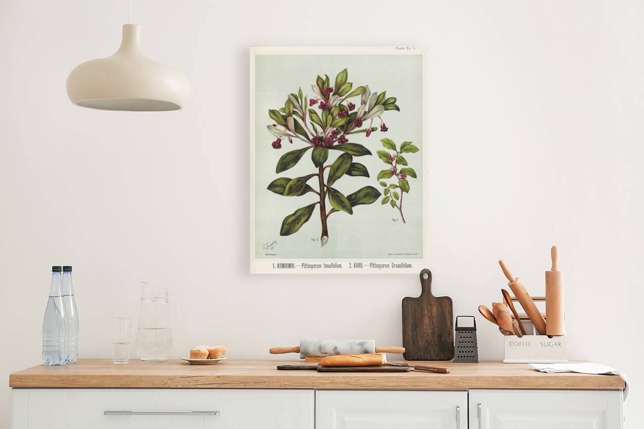 Sarah Featon 010 Reproduction