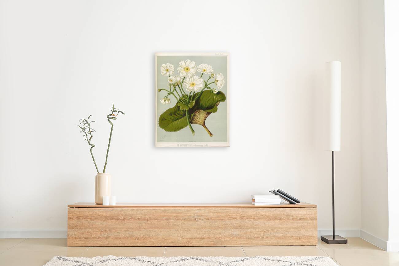 Sarah Featon 033 Reproduction