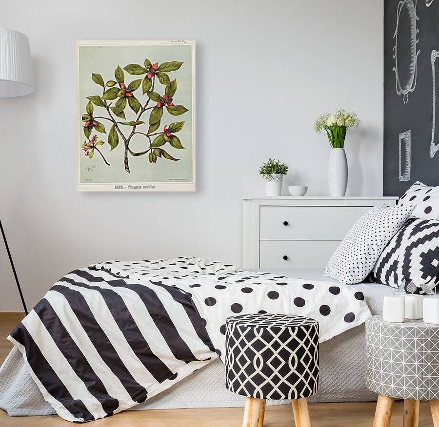 Sarah Featon 027 Reproduction