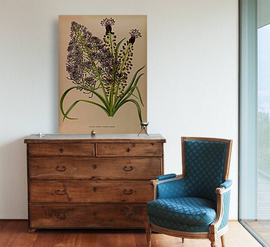 Album van Eeden : Haarlems flora : 1872-1881 Reproduction