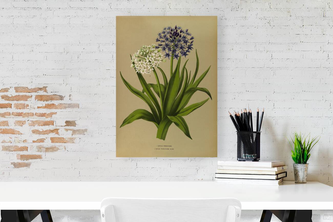 Album van Eeden : Haarlems flora : 1872-1881 Reproduction