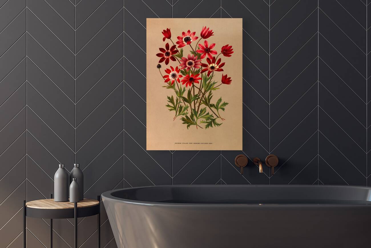 Album van Eeden : Haarlems flora : 1872-1881 Reproduction