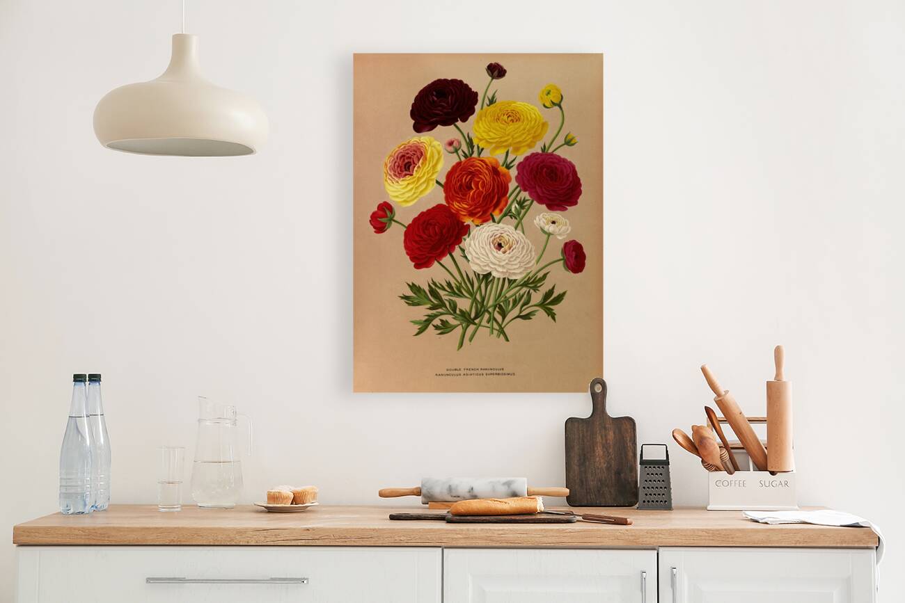 Album van Eeden : Haarlems flora : 1872-1881 Reproduction