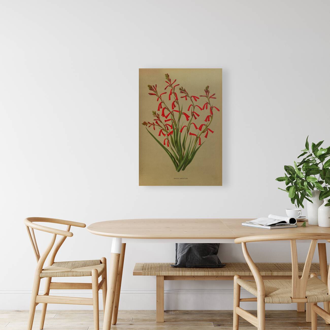 Album van Eeden : Haarlems flora : 1872-1881 Reproduction