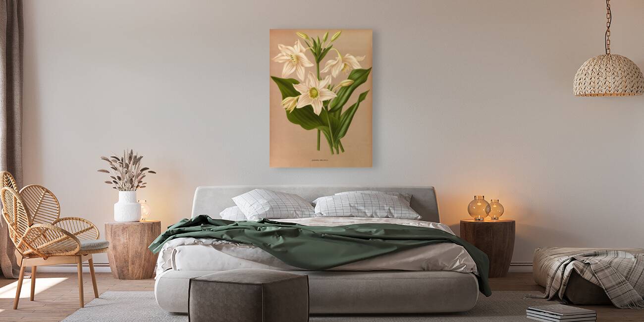 Album van Eeden : Haarlems flora : 1872-1881 Reproduction