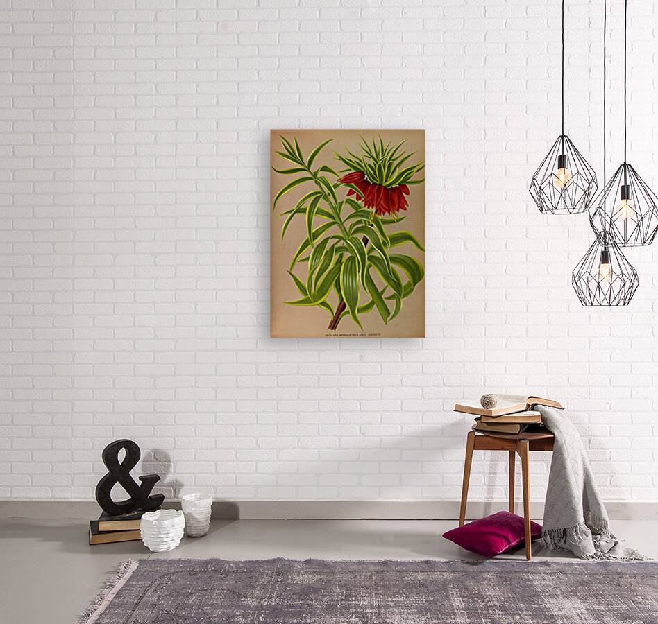 Album van Eeden : Haarlems flora : 1872-1881 Reproduction