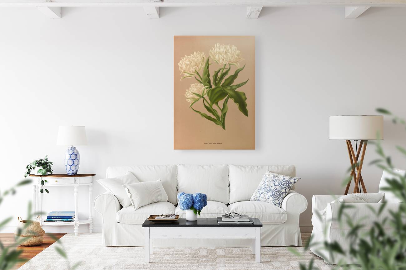 Album van Eeden : Haarlems flora : 1872-1881 Reproduction