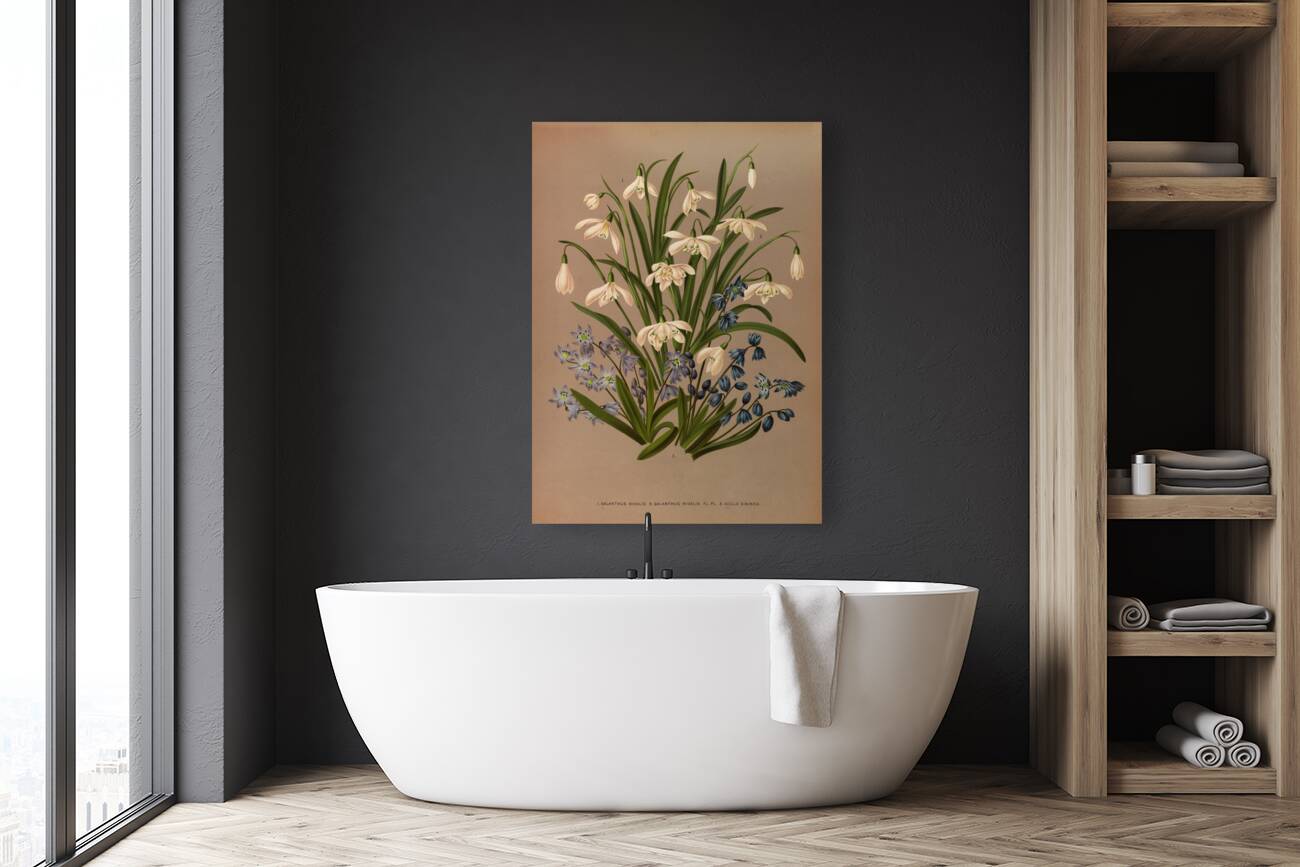 Album van Eeden : Haarlems flora : 1872-1881 Reproduction