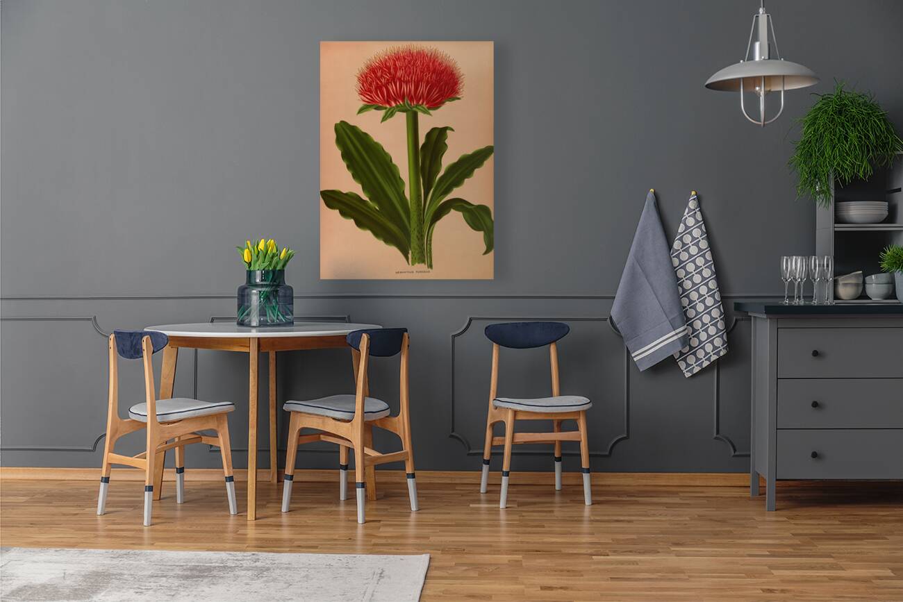 Album van Eeden : Haarlems flora : 1872-1881 Reproduction