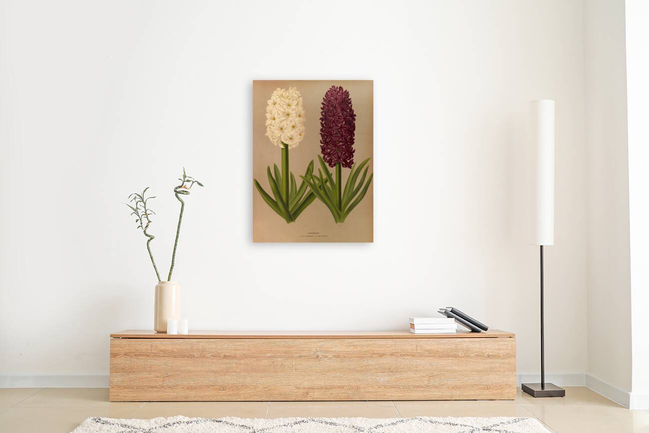 Album van Eeden : Haarlems flora : 1872-1881 Reproduction