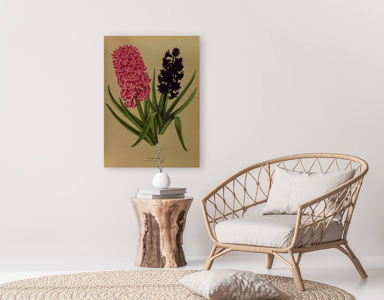 Album van Eeden : Haarlems flora : 1872-1881 Reproduction