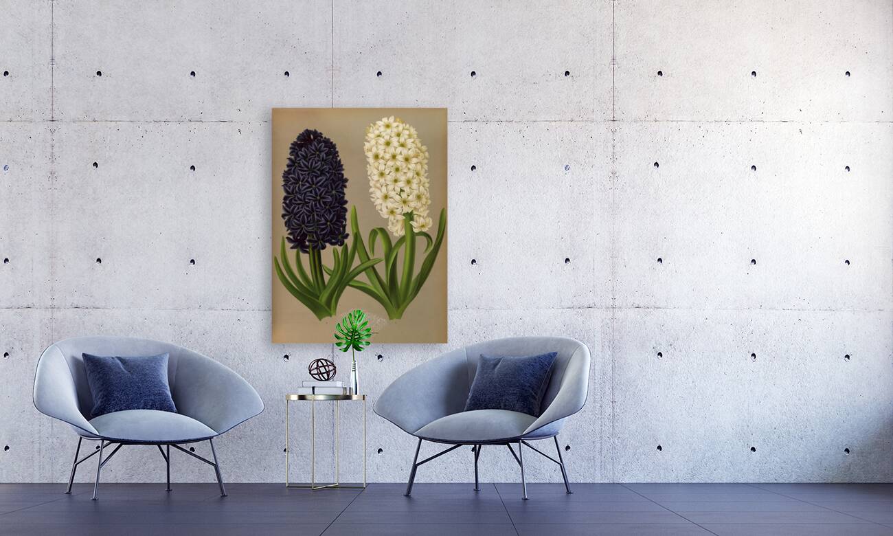 Album van Eeden : Haarlems flora : 1872-1881 Reproduction