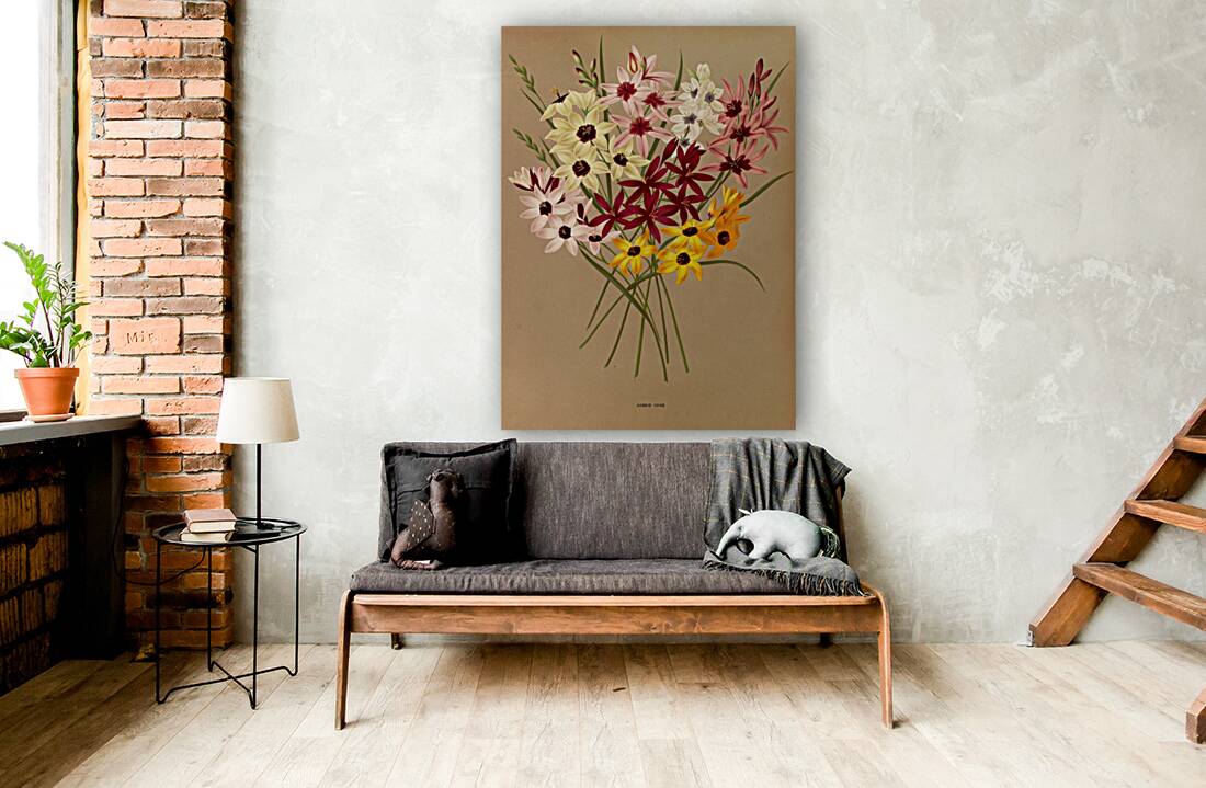 Album van Eeden : Haarlems flora : 1872-1881 Reproduction