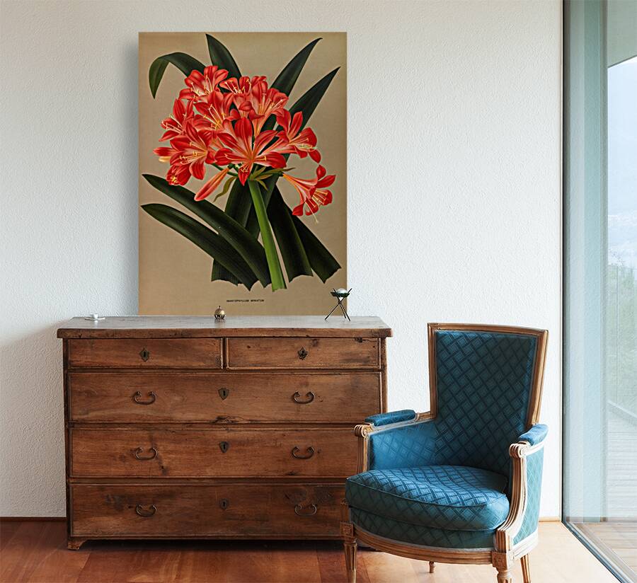 Album van Eeden : Haarlems flora : 1872-1881 Reproduction