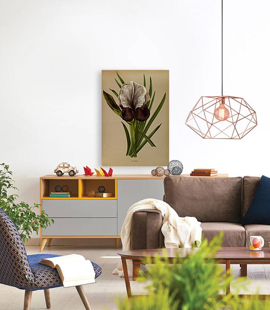 Album van Eeden : Haarlems flora : 1872-1881 Reproduction