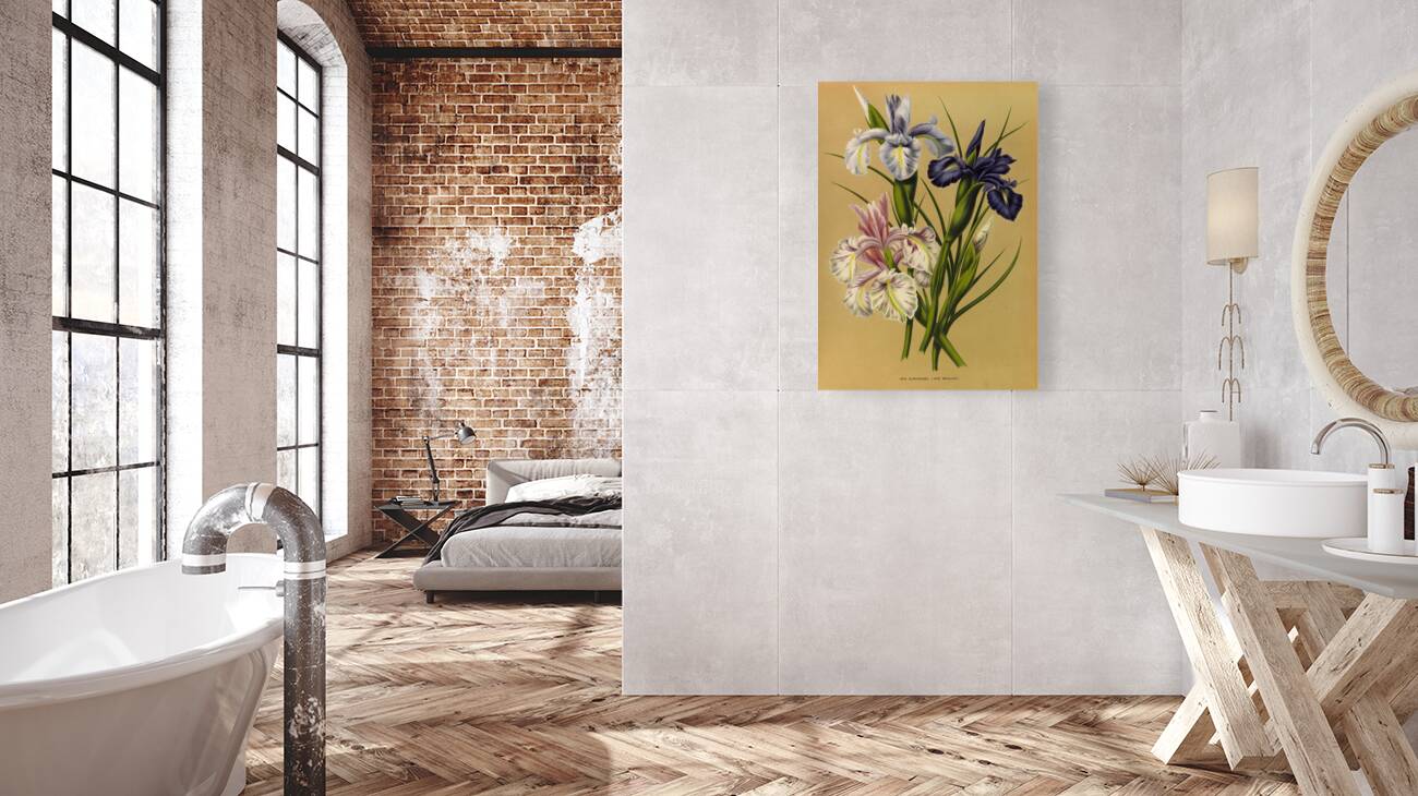 Album van Eeden : Haarlems flora : 1872-1881 Reproduction