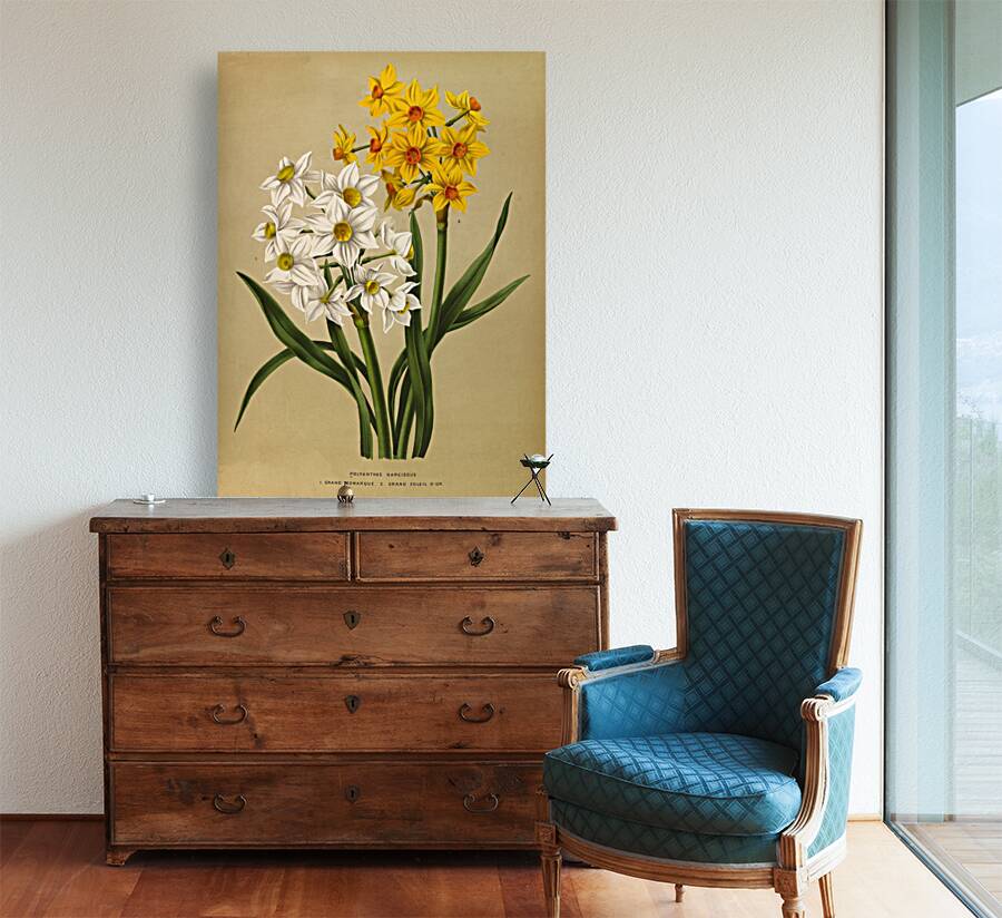 Album van Eeden : Haarlems flora : 1872-1881 Reproduction