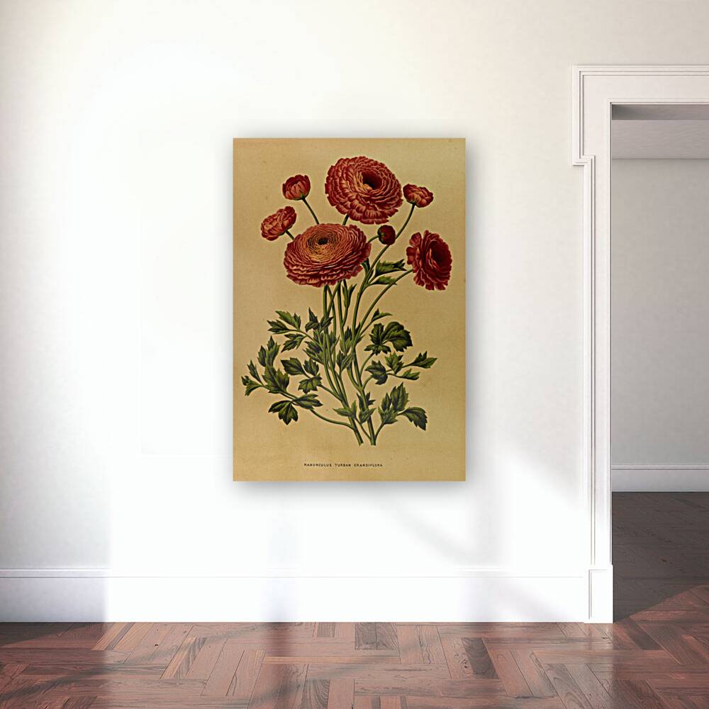 Album van Eeden : Haarlems flora : 1872-1881 Reproduction