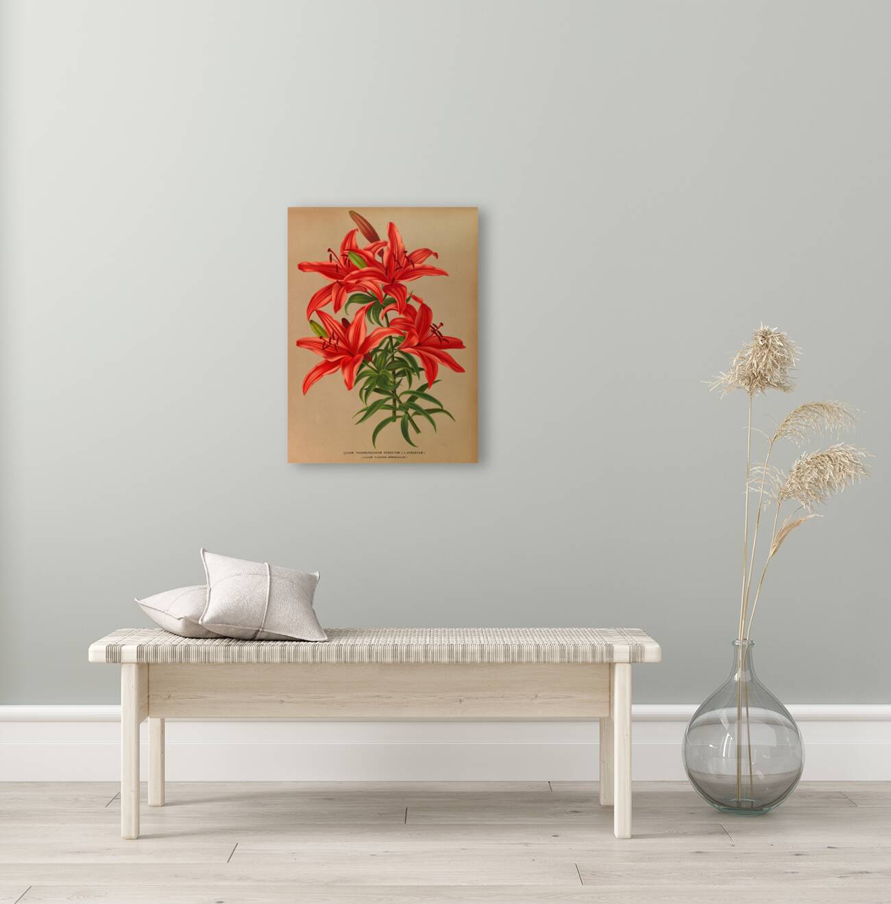 Album van Eeden : Haarlems flora : 1872-1881 Reproduction