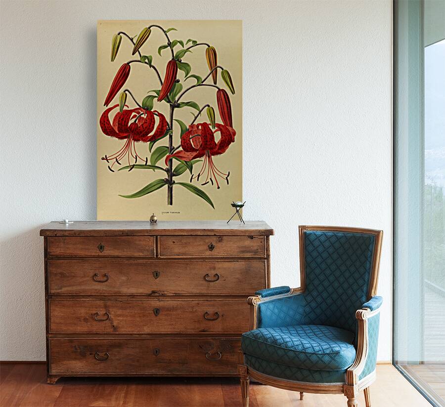 Album van Eeden : Haarlems flora : 1872-1881 Reproduction