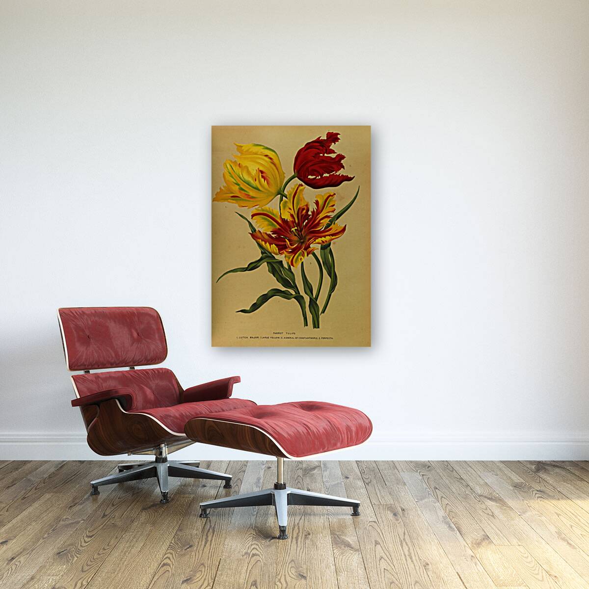 Album van Eeden : Haarlems flora : 1872-1881 Reproduction