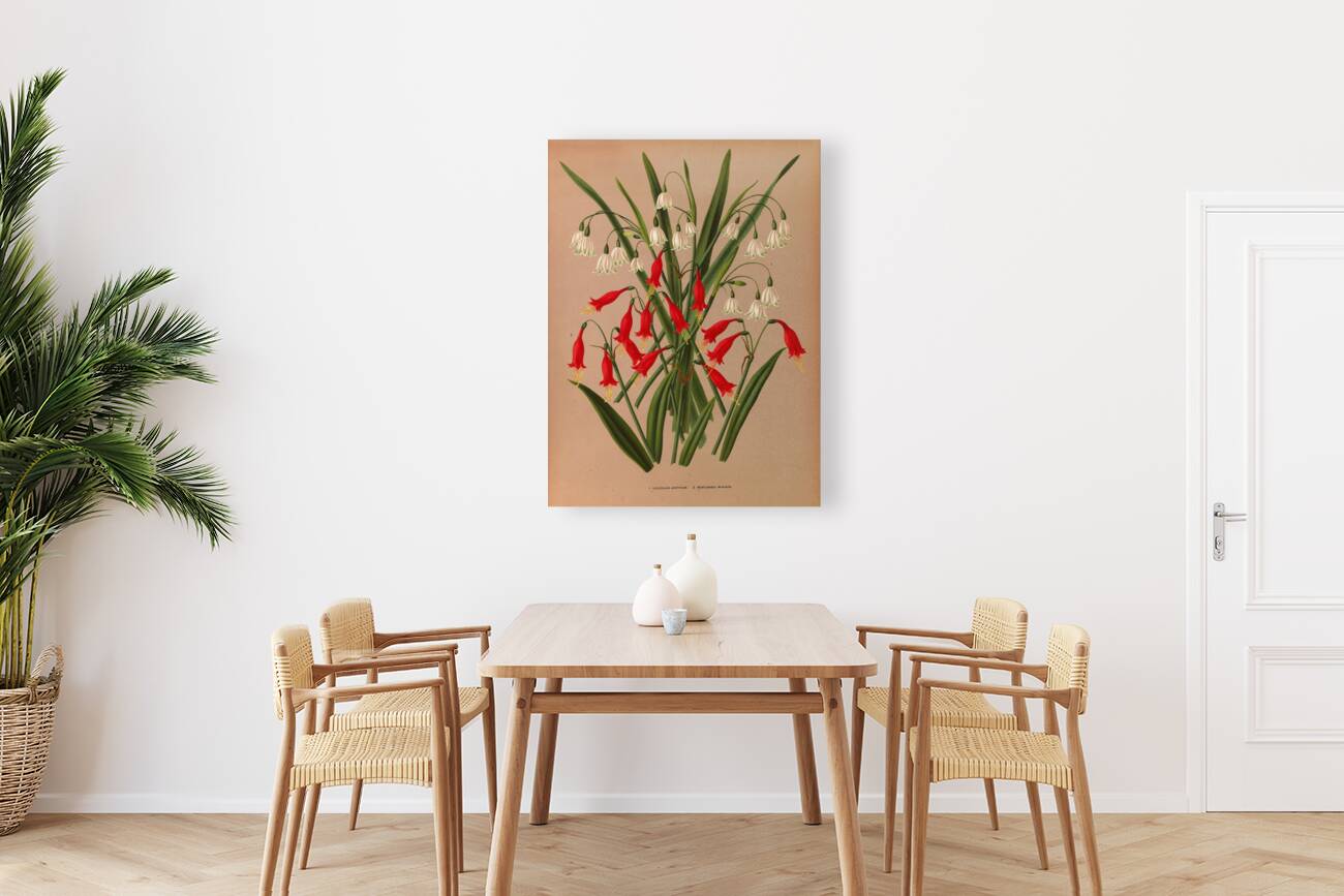 Album van Eeden : Haarlems flora : 1872-1881 Reproduction