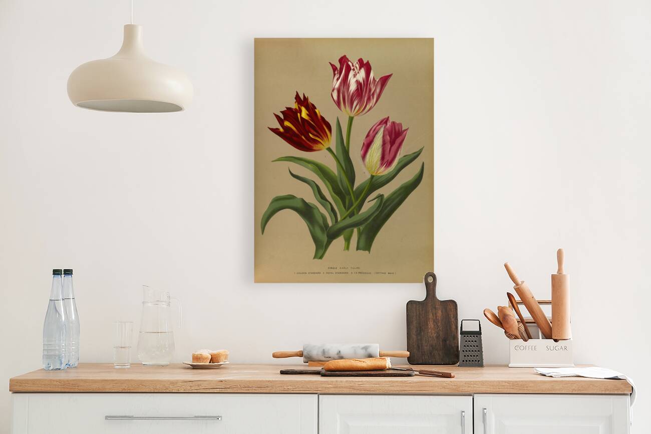 Album van Eeden : Haarlems flora : 1872-1881 Reproduction