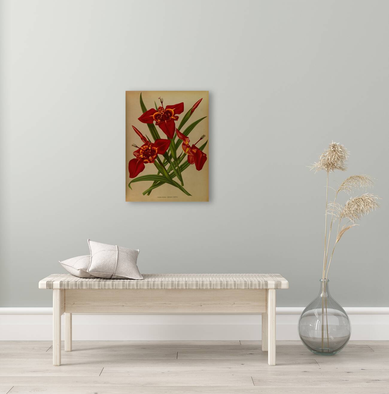 Album van Eeden : Haarlems flora : 1872-1881 Reproduction