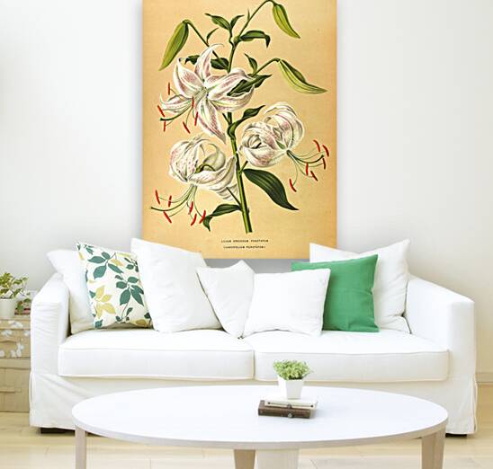 Album van Eeden : Haarlems flora : 1872-1881 Reproduction