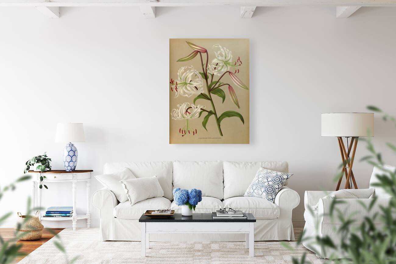 Album van Eeden : Haarlems flora : 1872-1881 Reproduction