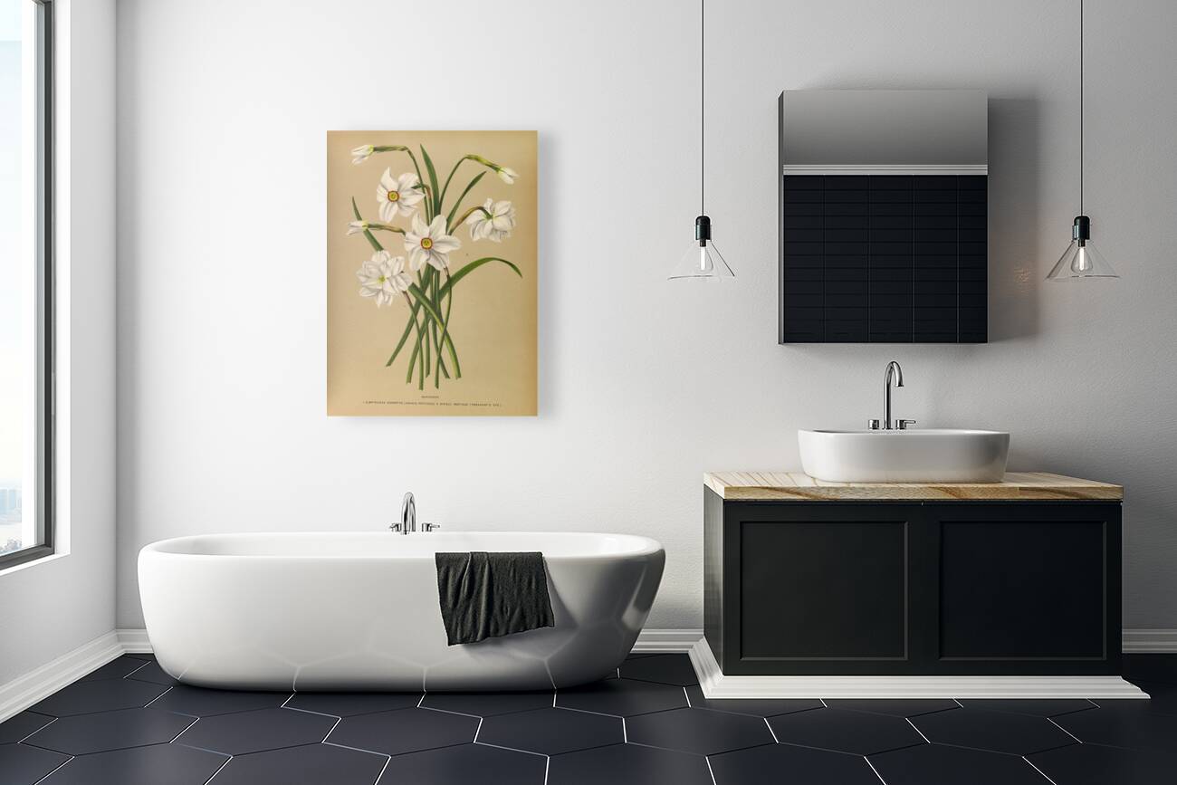 Album van Eeden : Haarlems flora : 1872-1881 Reproduction