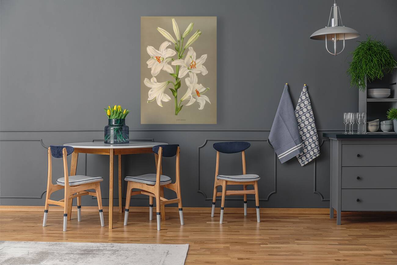 Album van Eeden : Haarlems flora : 1872-1881 Reproduction