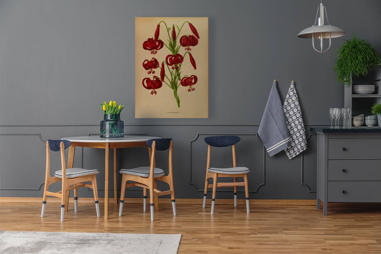 Album van Eeden : Haarlems flora : 1872-1881 Reproduction