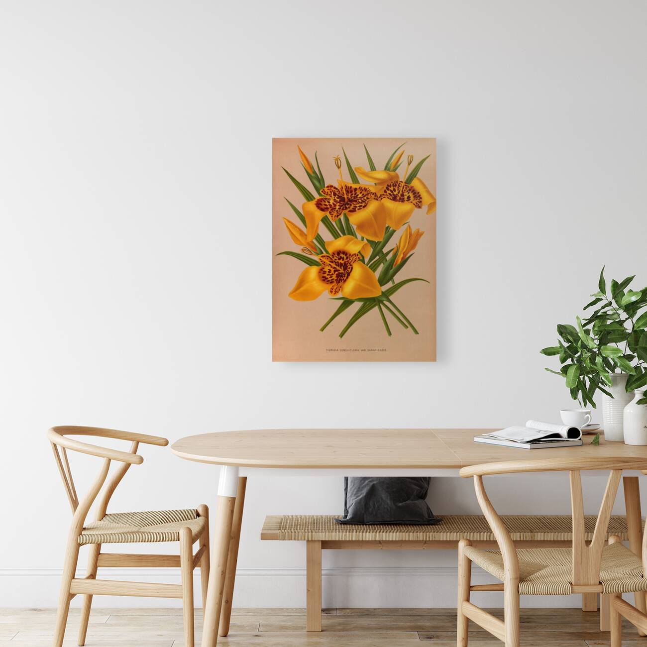 Album van Eeden : Haarlems flora : 1872-1881 Reproduction