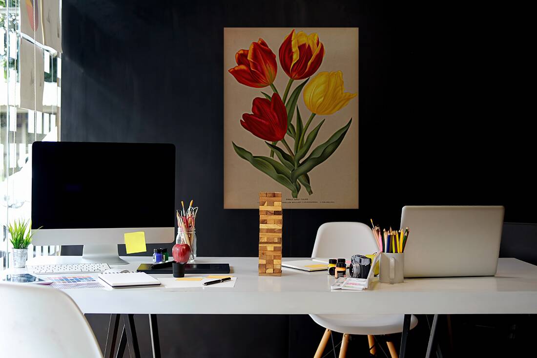 Album van Eeden : Haarlems flora : 1872-1881 Reproduction