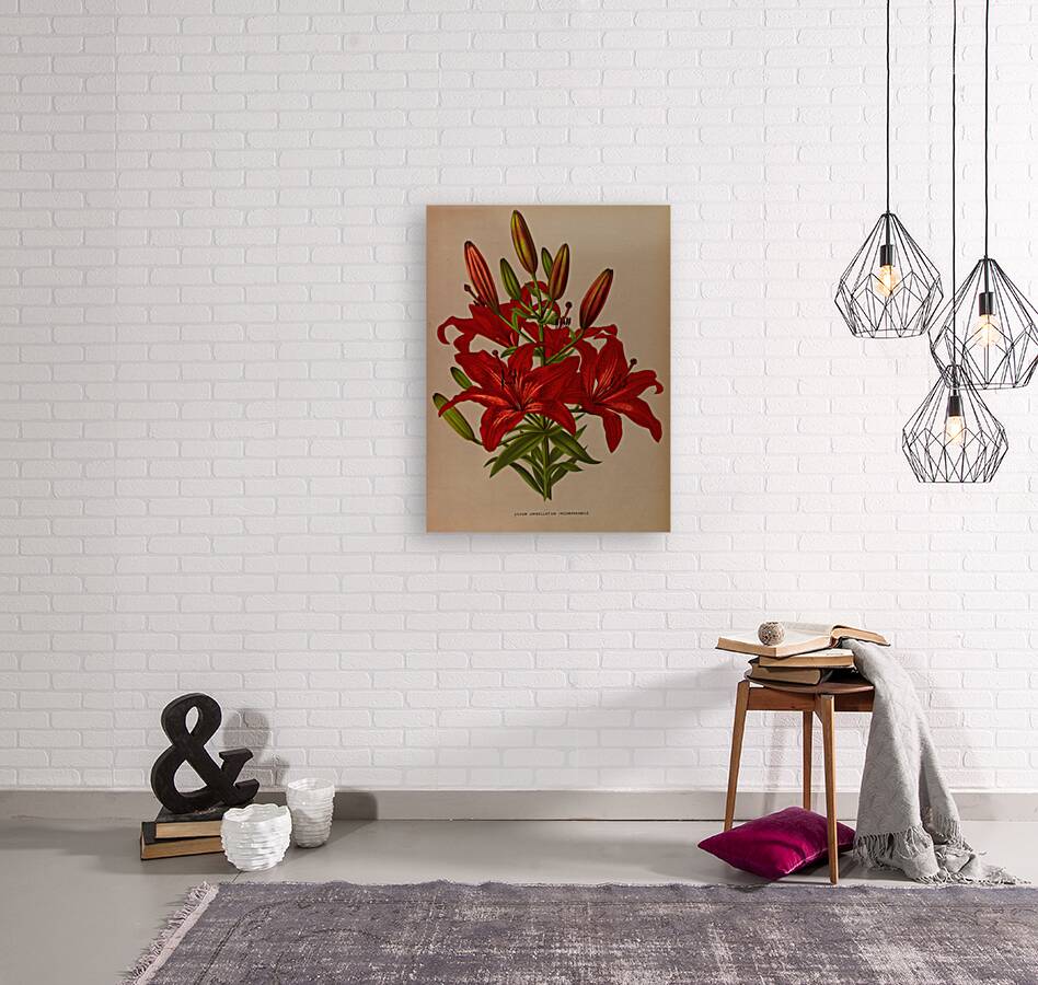 Album van Eeden : Haarlems flora : 1872-1881 Reproduction