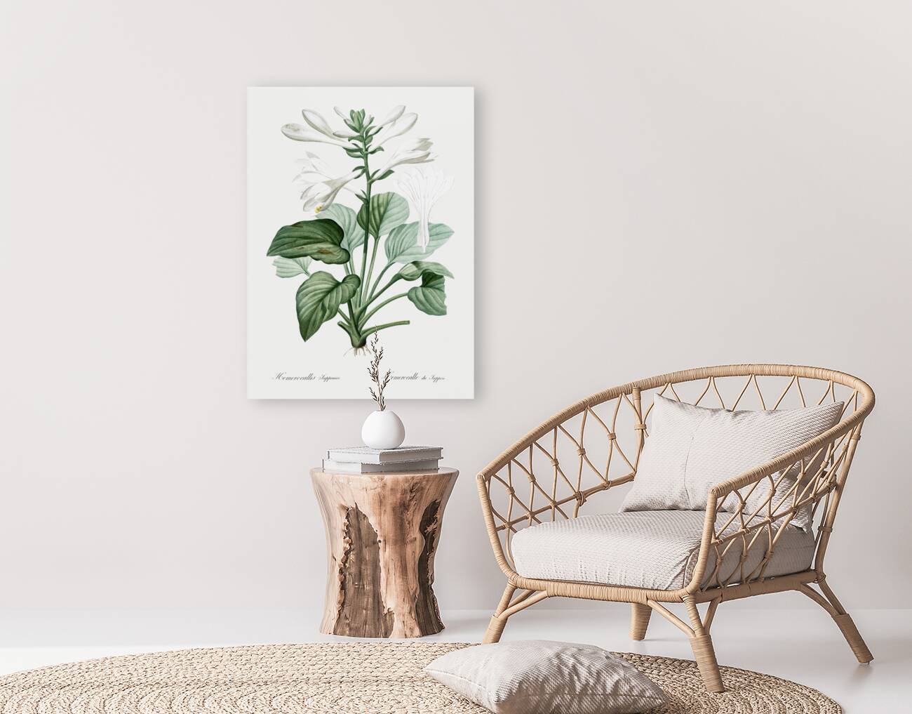 Daylily illustration  Reproduction