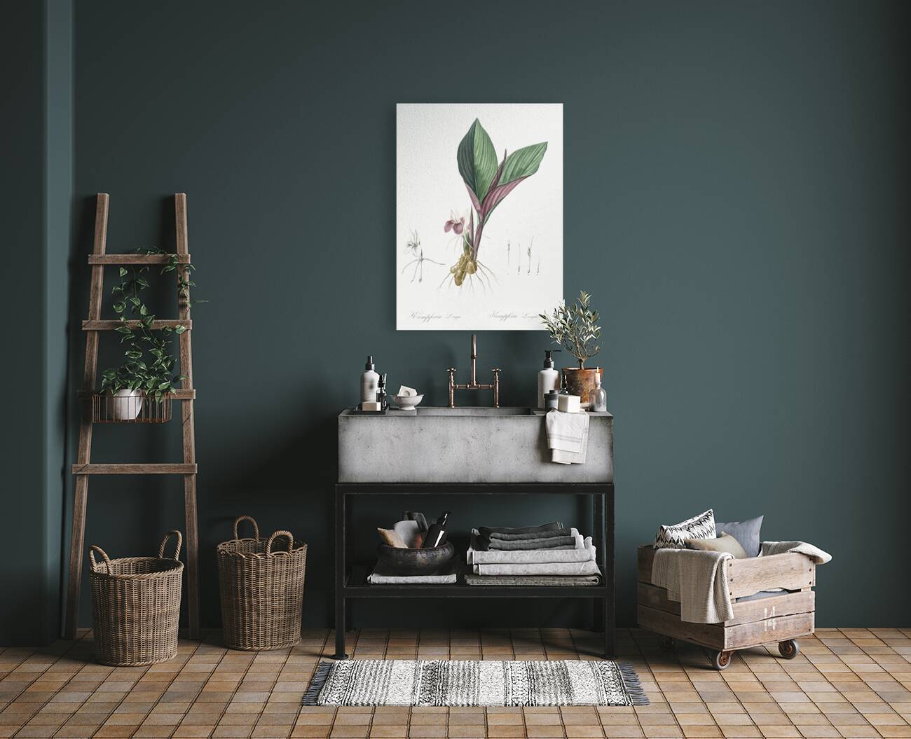 Koemferia longa illustration  Reproduction